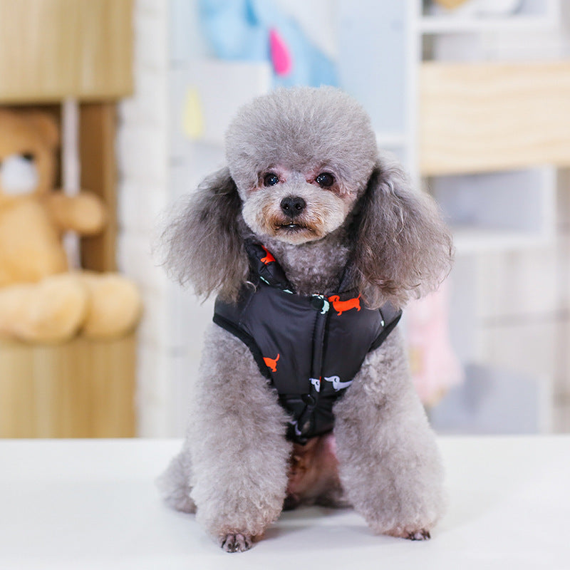 Front view of a small dog wearing the Comfy Vest, showcasing its stylish design and snug fit