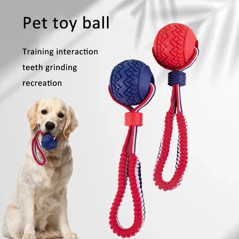 PlayFetch Interactive Teething Ball