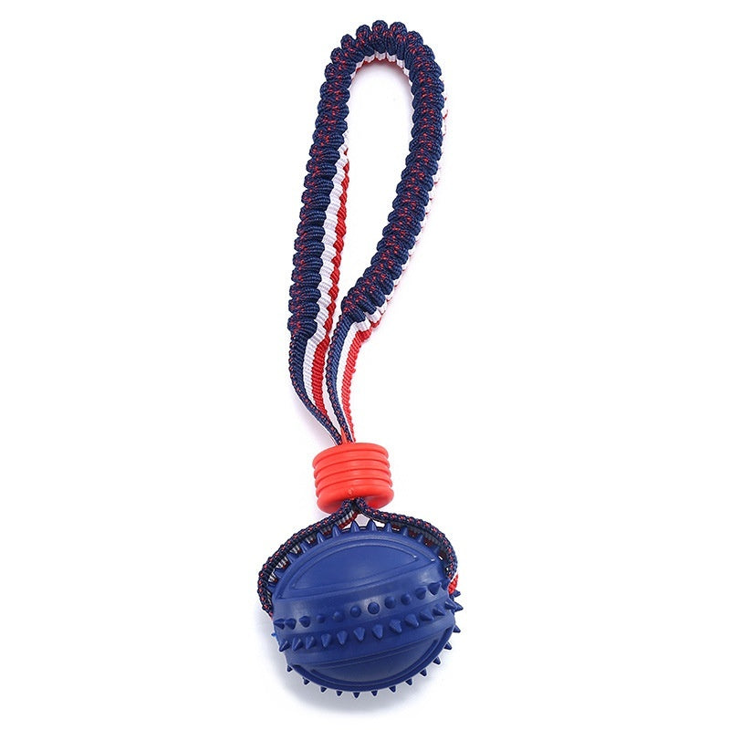 PlayFetch Interactive Teething Ball