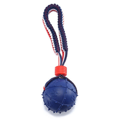 PlayFetch Interactive Teething Ball