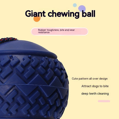 PlayFetch Interactive Teething Ball