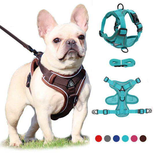 StrideSafe Adjustable Harness and Leash Set