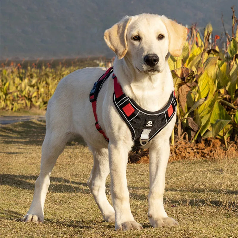 SafeStride Reflective Dog Harness