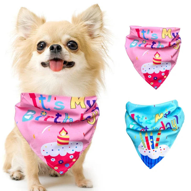 BirthdayPaws Party Kit - Complete Dog Birthday Celebration Set