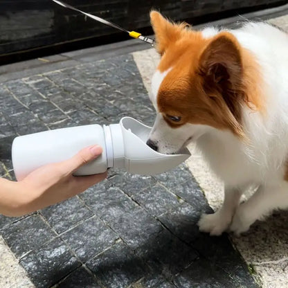 Pet drinking from the HydraMug Foldable Pet Bottle during an outdoor adventure.