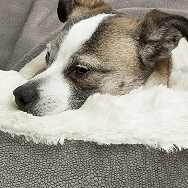 Cozypaws Orthopedic Pet Bed - Ultimate Comfort for Your Pet