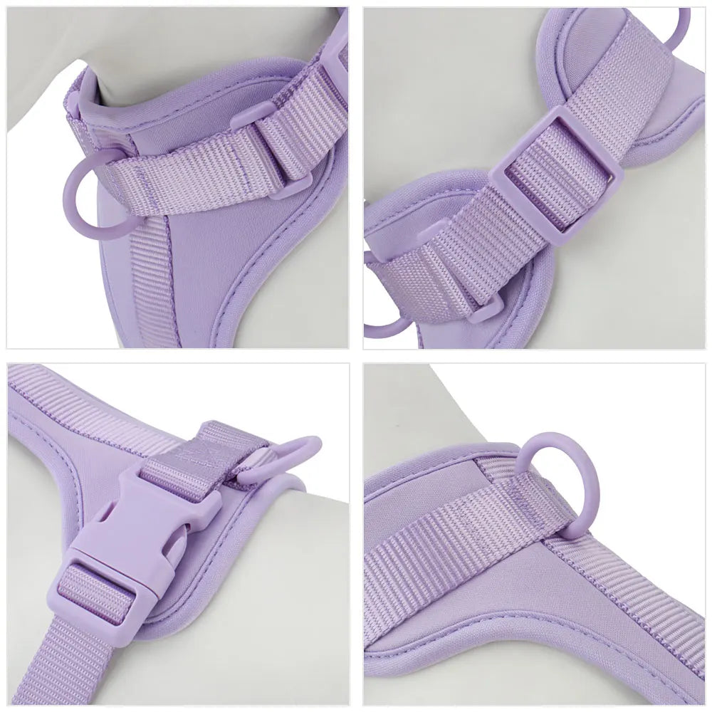 WalkEase Dog Harness