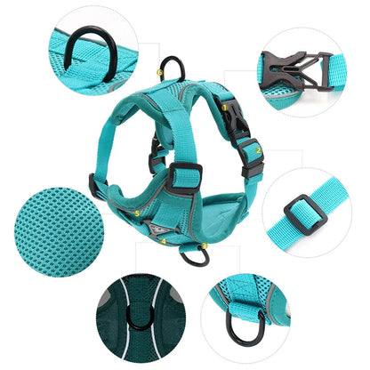 StrideSafe Adjustable Harness and Leash Set