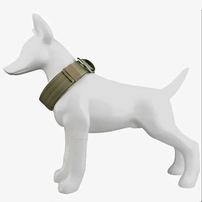 PowerPaws Tactical Training Collar