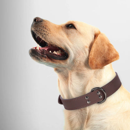 StrongPaw Leather Dog Collar