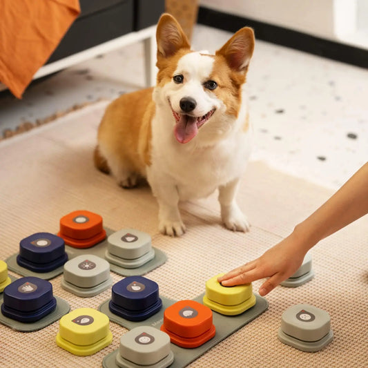 TalkButton Interactive Pet Communicator